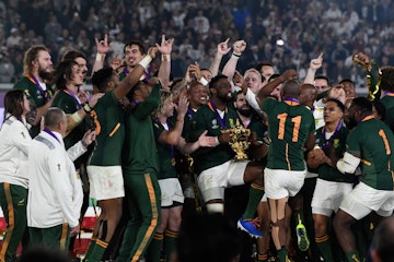 Springboks with RWC