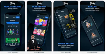 Stake app preview