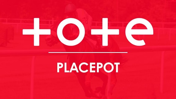 TOTE PLACEPOT GRAPHIC