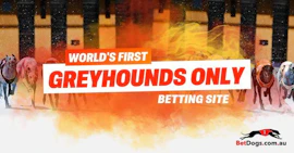 Betdogs australia promo