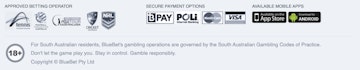 Bluebet payment options