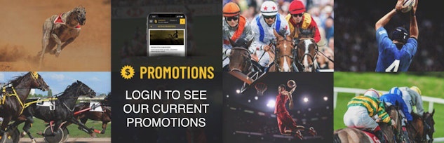 Bookmaker bonus and promotions