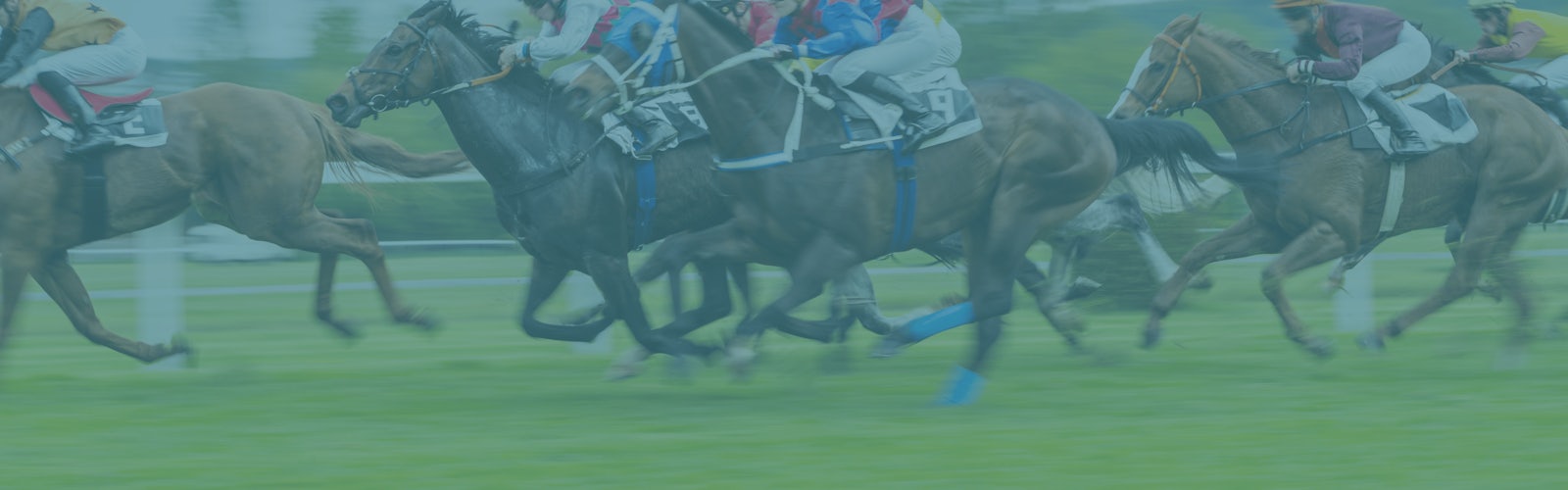 Horse racing betting sites cover image