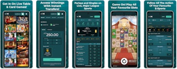 Maverick app preview