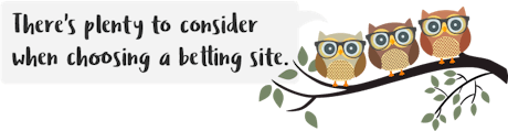 Owlie choosing a betting site