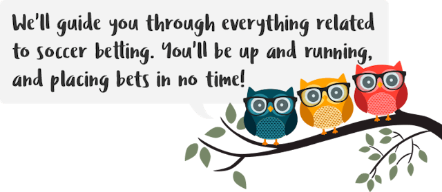 Owlie guide to soccer betting 2