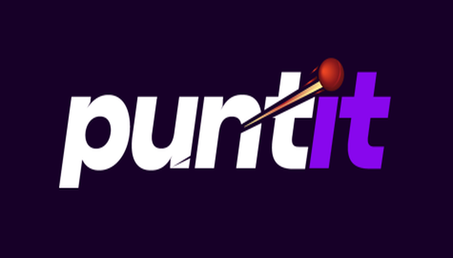 Puntit logo