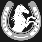 Stablebet logo square modified